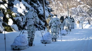 Европа изпрати 37 военни да пазят Гренландия след заплахите за анексиране от САЩ