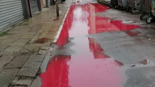 Мистериозни червени локви се появиха в центъра на Пловдив