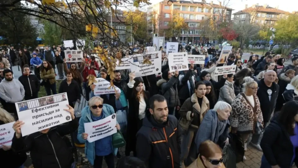 Заради прегазеното куче Мая: Протест пред ВМА ще настоява д-р Цоневски да бъде отстранен от работа