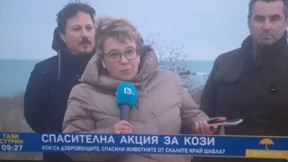 Козата като национална драма: как bTV откри спасението на България в една спасителна акция