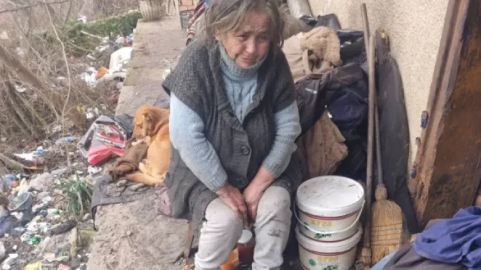 Делят залъка си с кучетата: Забравено от всички възрастно семейство оцелява в крайна нищета
