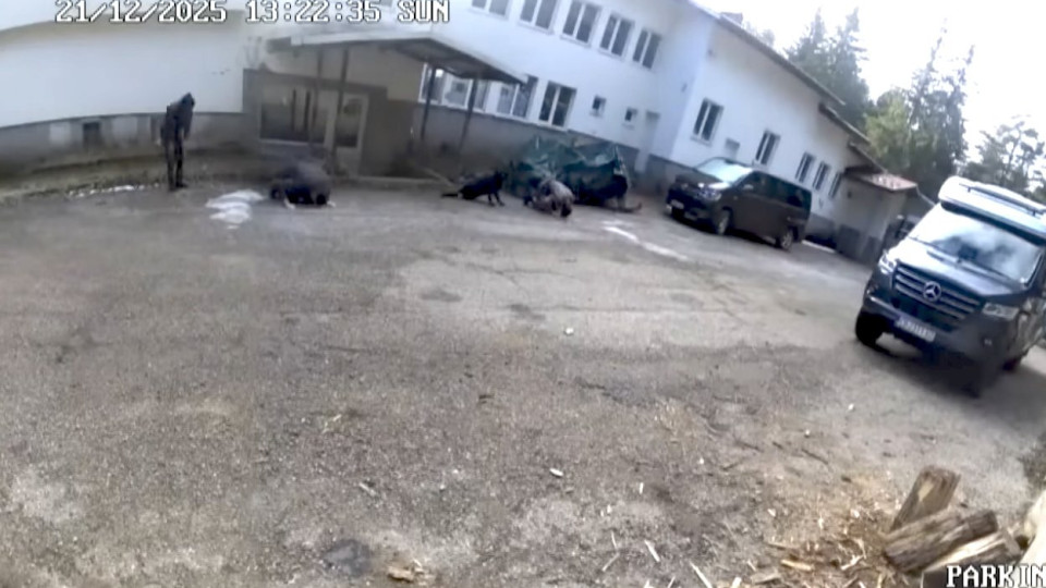 Прокуратурата официално поиска помощ от САЩ и Европол по случая "Петрохан"