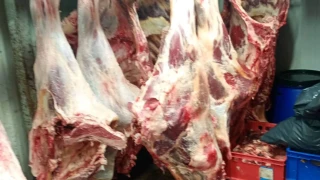 Незаконна кланница разкриха и в Дебелец, нарушителите са хванати по време на клане