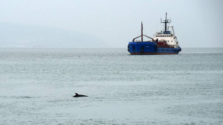 Естония няма да задържа руски кораби в Балтийско море поради риск от ескалация