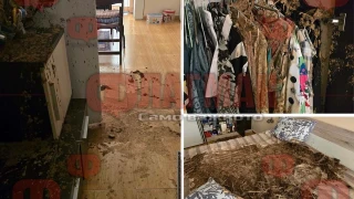 Брутално отмъщение в Свети Влас: Заляха с фекалии апартамент в луксозен комплекс (СНИМКИ/ВИДЕО)
