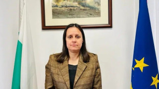 Уволниха и шефката на ДНСК