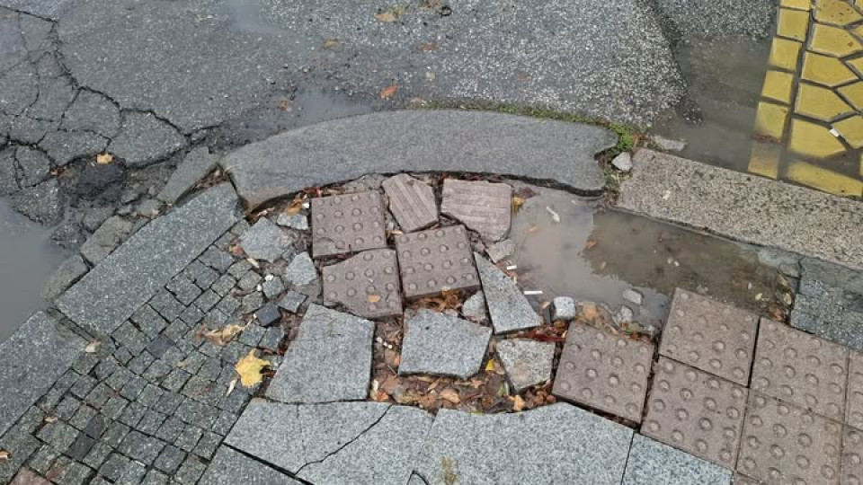 Виждали ли сте седесарските общински съветници в София да правят нещо друго, освен да крадат и да сменят имена?