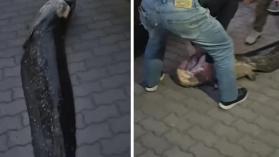 След скандал с талисмана на езеро във Варшава украинец беше изгонен от ЕС