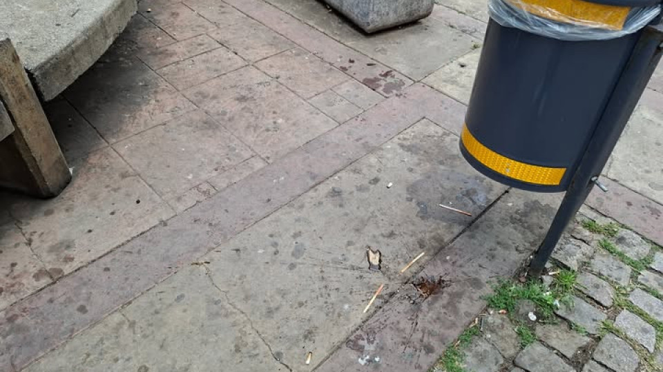 Така изглежда пешеходната част на улица "Пиротска" - една от най-старите пешеходни зони. Поддръжка нулева. Метене никакво, миене никакво