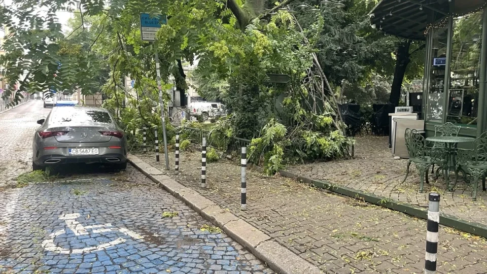 София се възстановява от връхлетялата я лятна буря