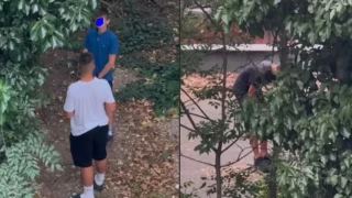 "Родители, говорете с децата": Подпалиха огън върху покрива на трафопост в София