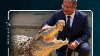 Израел ще строи затвор, обграден от крокодили, за палестинците
