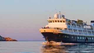 Трети път за два месеца: Норовирус плъзна на експедиционен кораб в Аляска