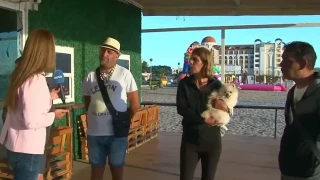 Работодател от Обзор изчезна с последните заплати на персонала