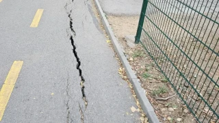 Два ремонта по-късно: Алеята в Западния парк се разцепи СНИМКИ