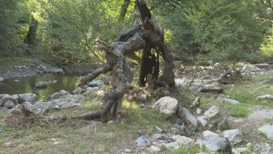Разбитата от ДАНС секта край Калофер била поне от 10 г., играели голо хоро с бели мантии
