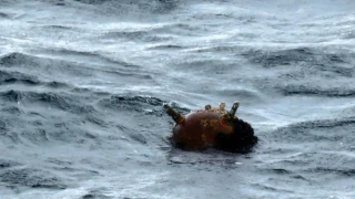 Обект, наподобяващ морска мина, е забелязан край нос Емине